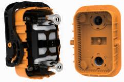 MSD11